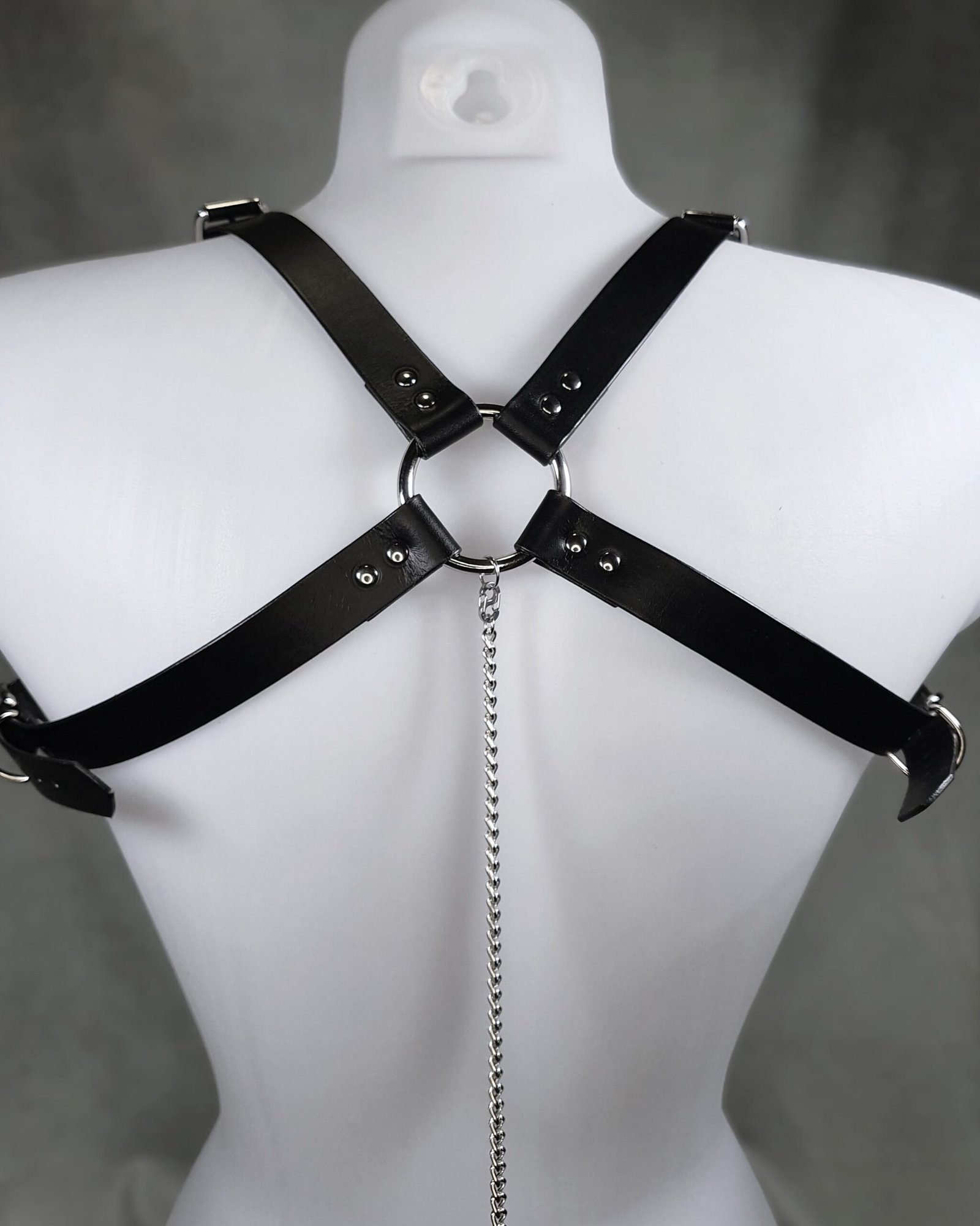 Rogue Harness - harnais – Image 4