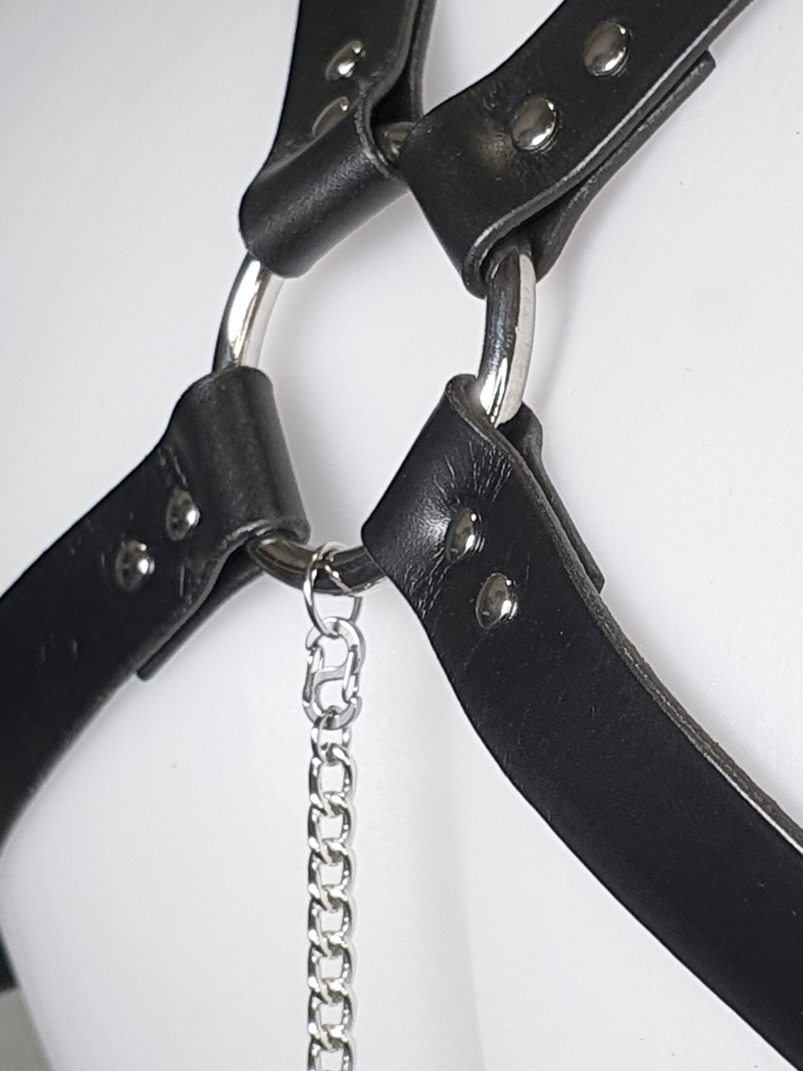 Rogue Harness - harnais – Image 9